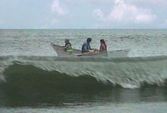 SeaDog in surf